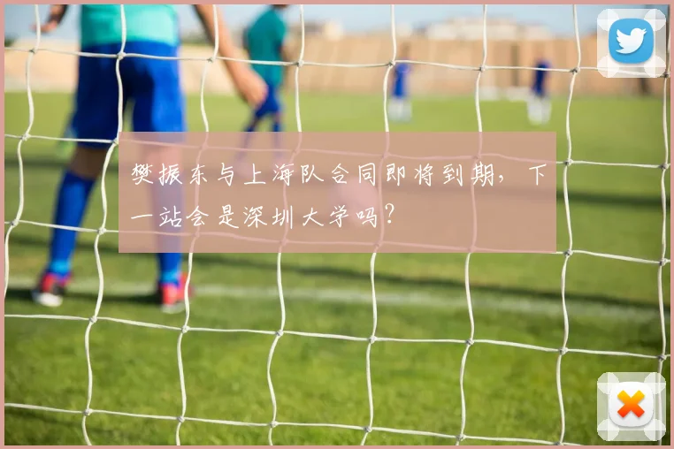 樊振东与上海队合同即将到期，下一站会是深圳大学吗？