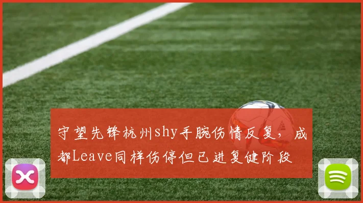 守望先锋杭州shy手腕伤情反复,成都Leave同样伤停但已进复健阶段